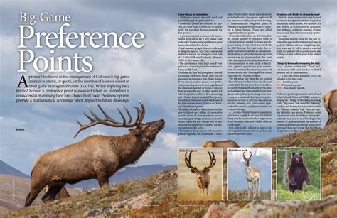 colorado pronghorn preference point code|colorado outdoors preference point requirements.